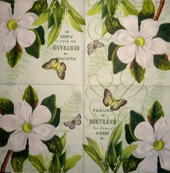 073 Magnolias - 3-ply - Ambiente